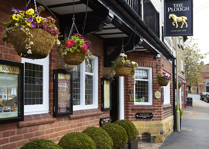 The Plough & Mini-hôtel 5*