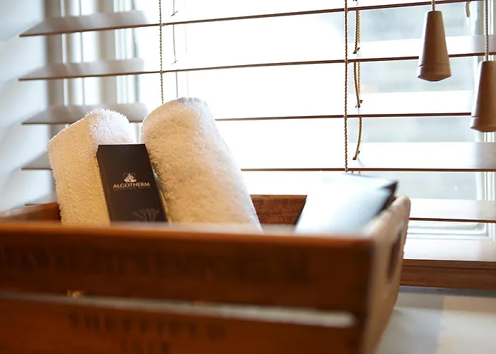 Mini-hôtel The Plough &